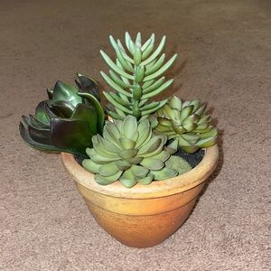 Artificial Succulents With Pot
